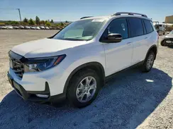 5FNYF8H60SB015000 2025 HONDA PASSPORT