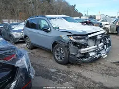 5FNYF8H62NB011535 2022 HONDA PASSPORT
