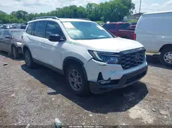 5FNYF8H63RB009699 2024 HONDA PASSPORT