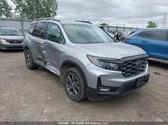 5FNYF8H63RB500127 2024 HONDA PASSPORT