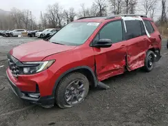 5FNYF8H64RB019688 2024 HONDA PASSPORT