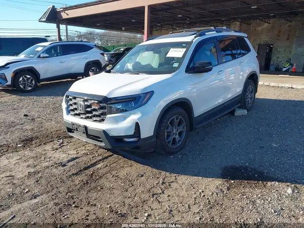 5FNYF8H64RB021702 2024 HONDA PASSPORT - Image 2