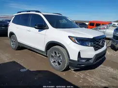 5FNYF8H65PB024704 2023 HONDA PASSPORT