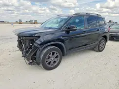 5FNYF8H65RB007551 2024 HONDA PASSPORT