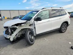 5FNYF8H65RB010160 2024 HONDA PASSPORT