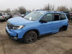 5FNYF8H65RB013169 2024 HONDA PASSPORT