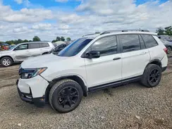 5FNYF8H65RB018923 2024 HONDA PASSPORT