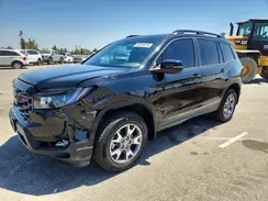 5FNYF8H66PB000170 2023 HONDA PASSPORT