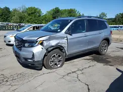 5FNYF8H66RB001578 2024 HONDA PASSPORT