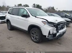 5FNYF8H66RB013732 2024 HONDA PASSPORT