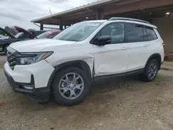5FNYF8H66RB013794 2024 HONDA PASSPORT