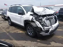 5FNYF8H66RB016825 2024 HONDA PASSPORT