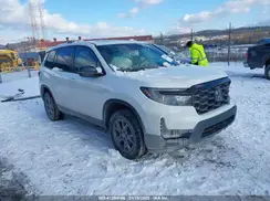 5FNYF8H67RB002884 2024 HONDA PASSPORT