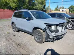 5FNYF8H67SB003801 2025 HONDA PASSPORT