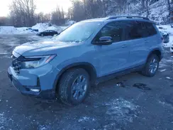 5FNYF8H67SB013146 2025 HONDA PASSPORT