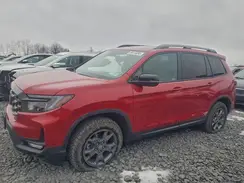 5FNYF8H68RB016535 2024 HONDA PASSPORT