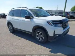 5FNYF8H69PB502249 2023 HONDA PASSPORT