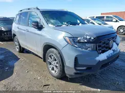 5FNYF8H6XSB501118 2025 HONDA PASSPORT