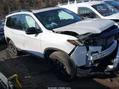 5FNYF8H80RB007409 2024 HONDA PASSPORT