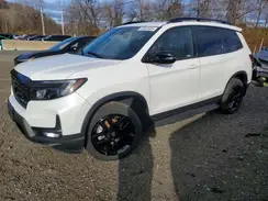 5FNYF8H81RB013770 2024 HONDA PASSPORT