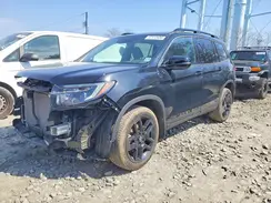 5FNYF8H81RB019522 2024 HONDA PASSPORT