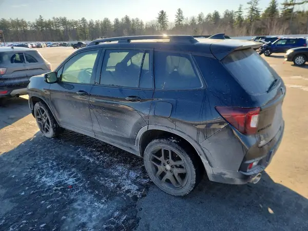 5FNYF8H84RB020275 2024 HONDA PASSPORT - Image 2