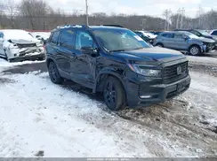 5FNYF8H84SB013901 2025 HONDA PASSPORT