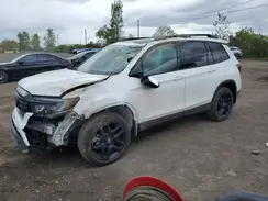 5FNYF8H85RB500244 2024 HONDA PASSPORT