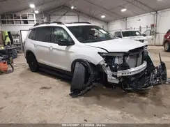 5FNYF8H86RB001825 2024 HONDA PASSPORT