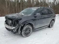 5FNYF8H86RB500382 2024 HONDA PASSPORT