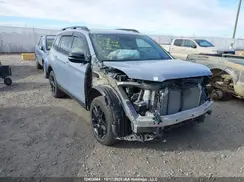 5FNYF8H86RB500446 2024 HONDA PASSPORT