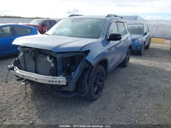 5FNYF8H86RB500446 2024 HONDA PASSPORT - Image 2