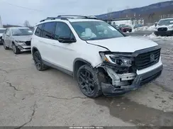 5FNYF8H87SB005307 2025 HONDA PASSPORT