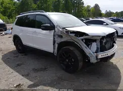 5FNYF8H89RB005352 2024 HONDA PASSPORT