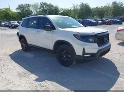 5FNYF8H89RB017016 2024 HONDA PASSPORT