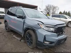 5FNYF8H89RB019784 2024 HONDA PASSPORT