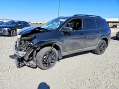5FNYF8H8XSB005513 2025 HONDA PASSPORT