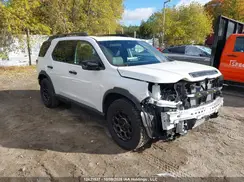 5FNYF9H80TB502027 2026 HONDA PASSPORT
