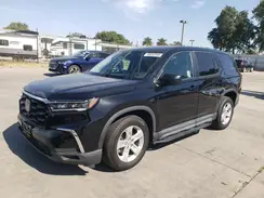 5FNYG1H21PB026564 2023 HONDA PILOT