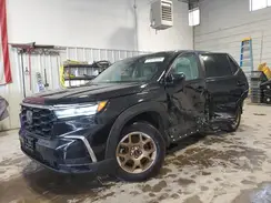 5FNYG1H22RB032392 2024 HONDA PILOT