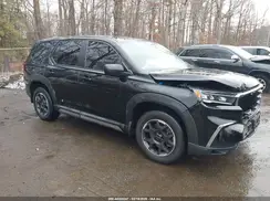 5FNYG1H24PB021858 2023 HONDA PILOT