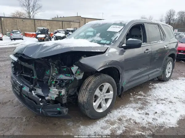 5FNYG1H24RB020986 2024 HONDA PILOT - Image 2