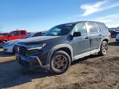 5FNYG1H26RB032377 2024 HONDA PILOT