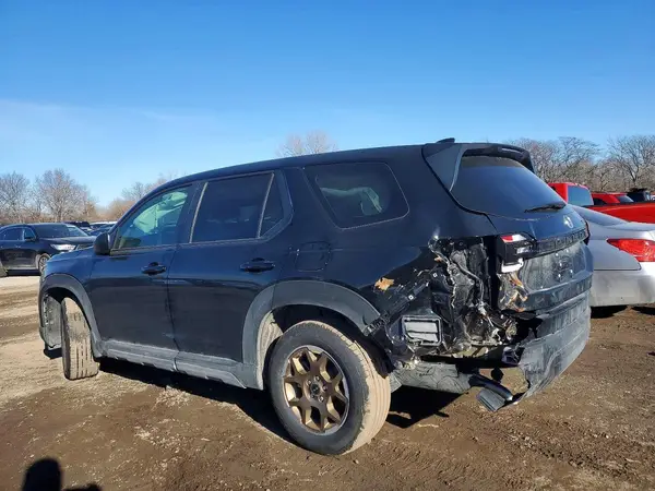 5FNYG1H26RB032377 2024 HONDA PILOT - Image 2