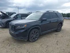 5FNYG1H30RB012621 2024 HONDA PILOT