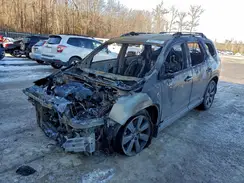 5FNYG1H31PB003570 2023 HONDA PILOT