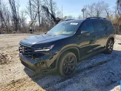 5FNYG1H32PB003478 2023 HONDA PILOT
