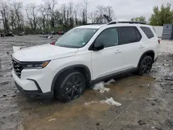 5FNYG1H32PB015422 2023 HONDA PILOT