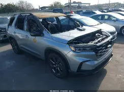 5FNYG1H32RB003709 2024 HONDA PILOT