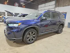 5FNYG1H35SB006402 2025 HONDA PILOT